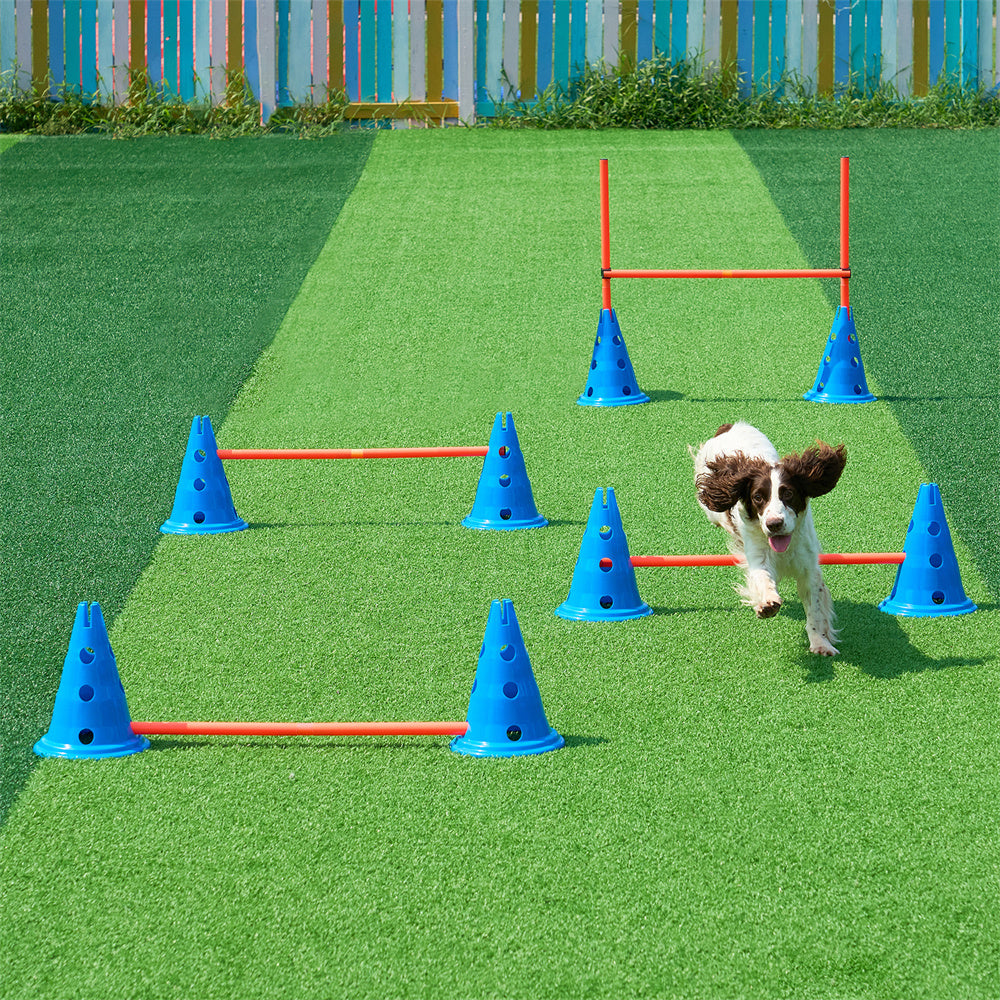 Dog Agility Hurdle Cone Set