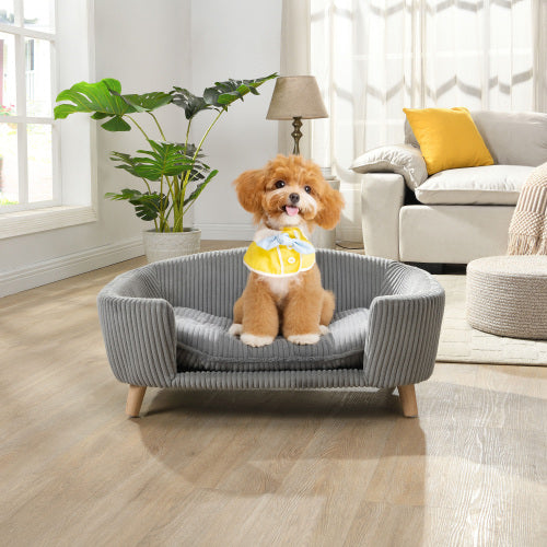 Elevated Dog Bed Frame with Foam – Small Dogs, Gray