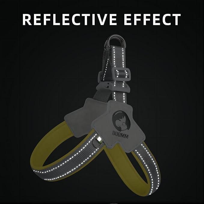 Adjustable No-Pull Pet Harness with Leather Leash – Comfortable & Reflective