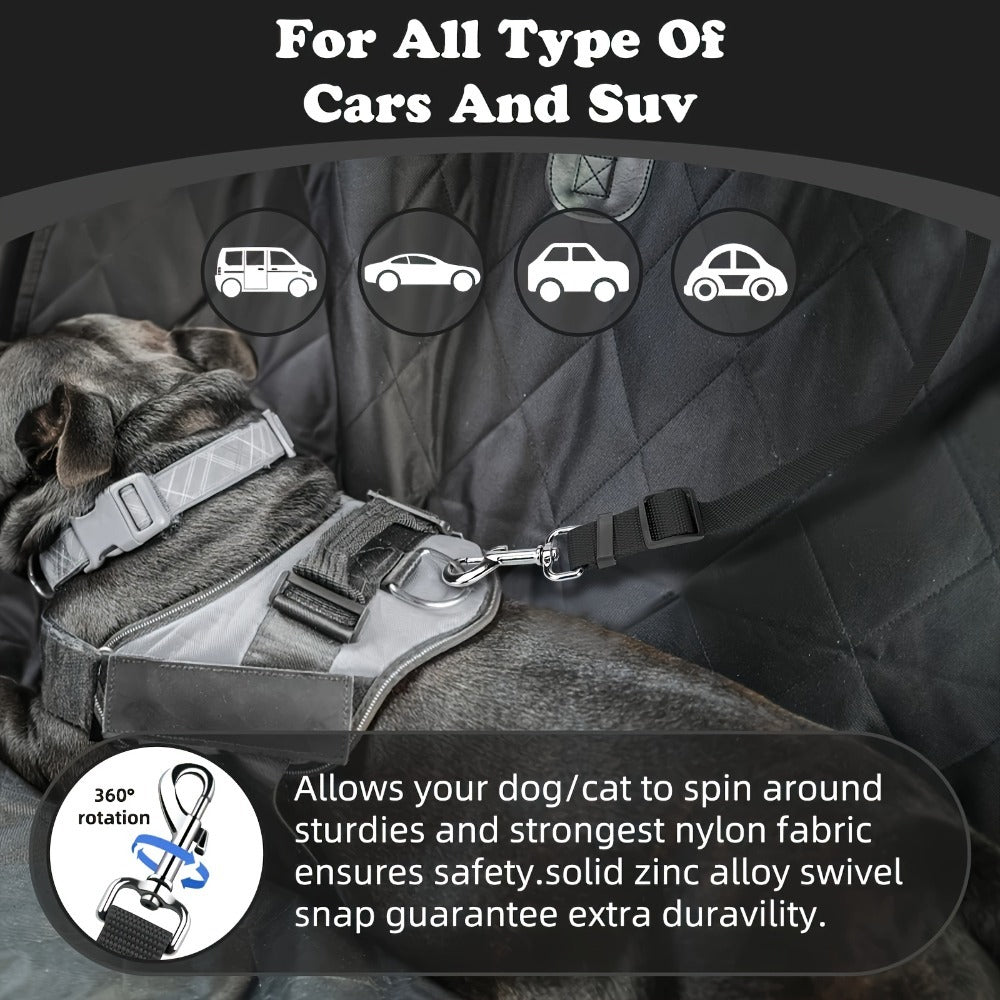 Two-Piece Dog Leash Set