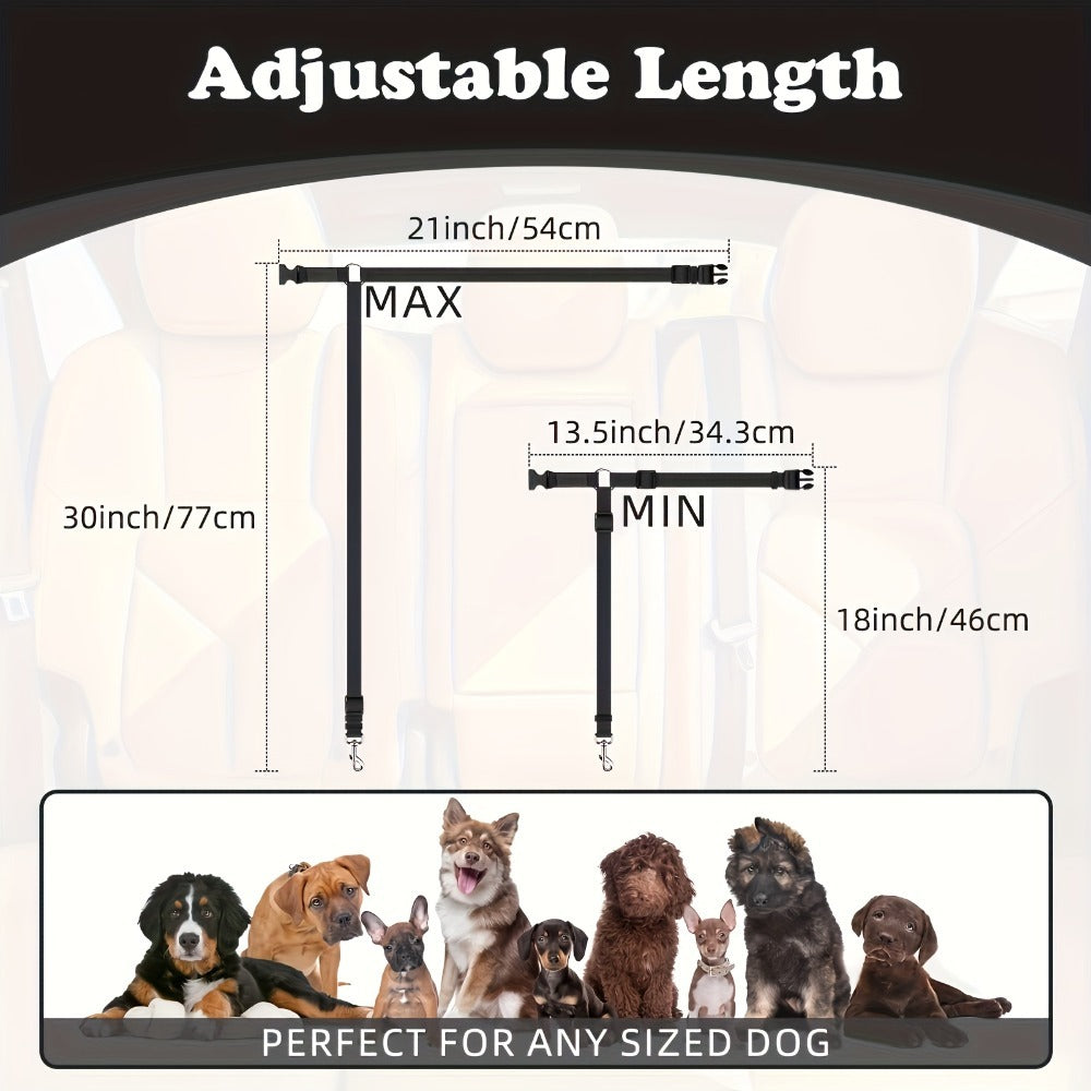 Two-Piece Dog Leash Set