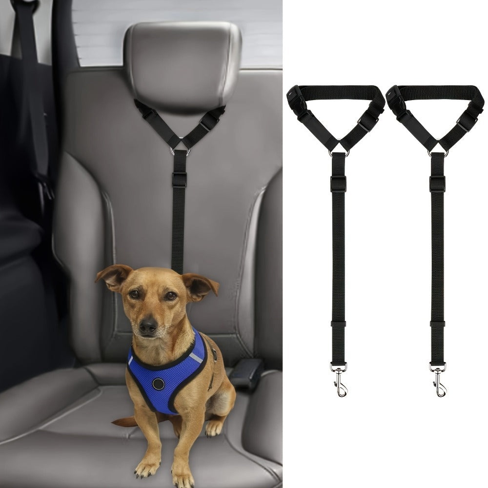 Two-Piece Dog Leash Set