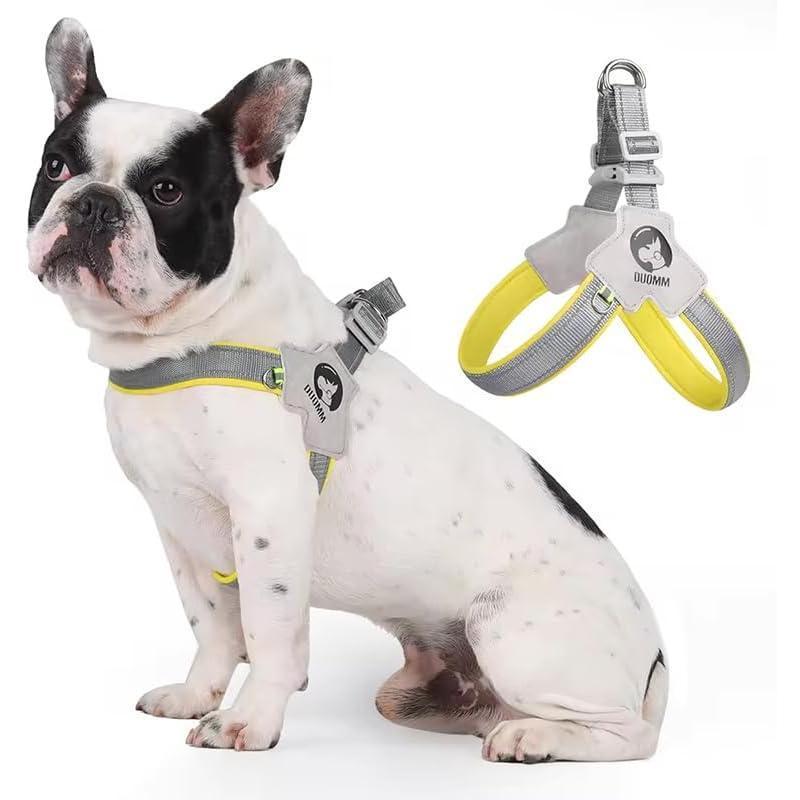 Adjustable No-Pull Pet Harness with Leather Leash – Comfortable & Reflective