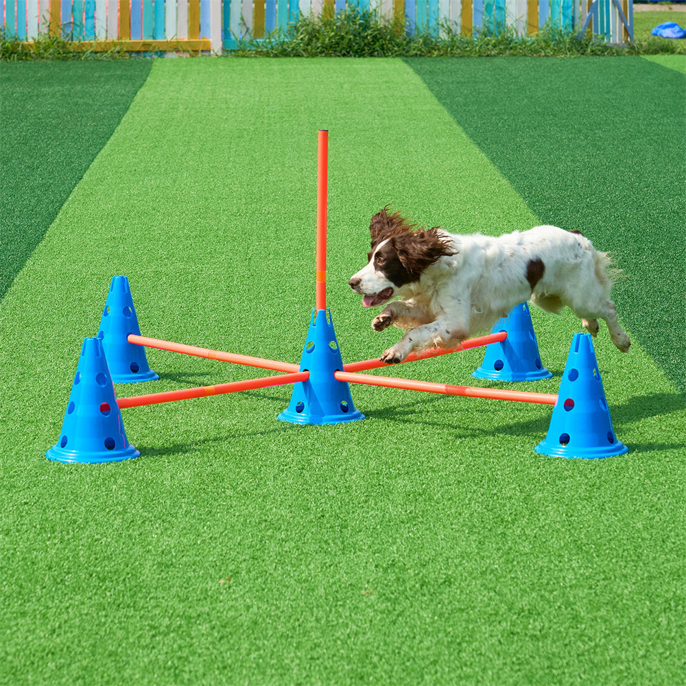 Dog Agility Hurdle Cone Set