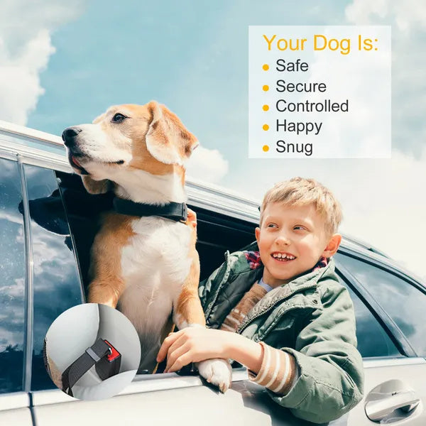 Adjustable Pet Seat Belt Leash – 2-Pack Safety Leads for Dogs