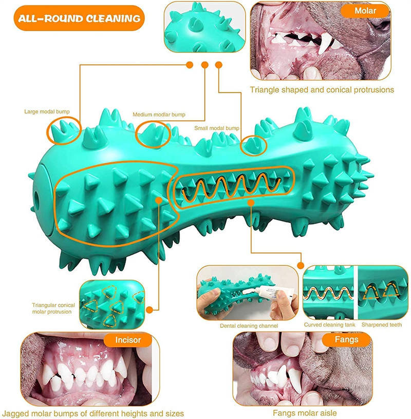 Rubber Molar Stick Dental Chew
